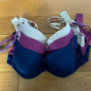 Aerie Sunnie Push-up Bras